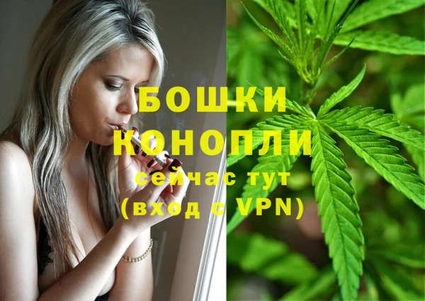 spice Баксан