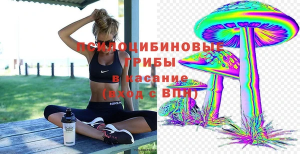 МДПВ Белокуриха