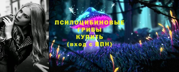 spice Баксан